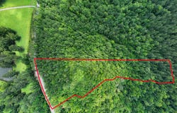 9.07 Acres Us Highway 80, Roberta, GA 31078