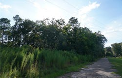 Lakeview Drive lot: 6, Red Springs, NC 28377