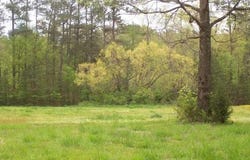 11381 MACON, Eads, TN 38028