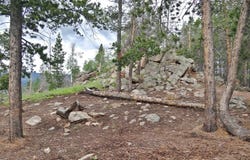 1921 Osage Trl, Red Feather Lakes, CO 80545