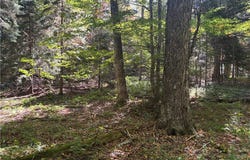 Moehs Road, Old Forge, NY 13420