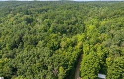 0 Six Mile Lake Road, Ellsworth, MI 49729