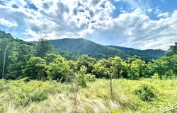 Split Pine Cove, Clyde, NC 28721