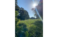 TBD Baudoin Rd, Maurice, LA 70555