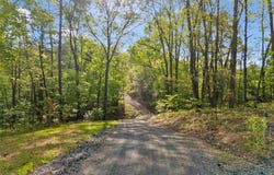 281 Abbott Drive, Canton, GA 30114