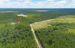 6689 Thorn Bird, Millwood, GA 31552