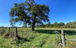15605 Fm-2620, Bedias, TX 77831