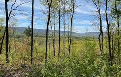 Lot 6 POLECAT HOLLOW ROAD, HOPEWELL, PA 16650
