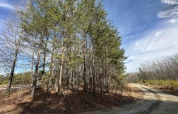 2a Cousin Road, Rougemont, NC 27572