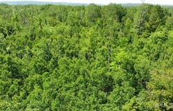 TBD 1 Norwich, Ewen, MI 49925