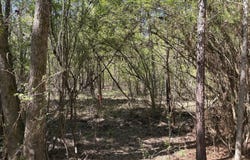 SW Auburn Drive, Bogue Chitto, MS 39629