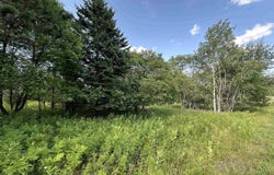TBD Blossom, Iron River, MI 49935