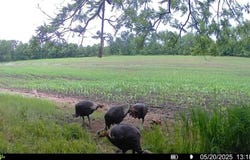 872 NW 675 Road, Centerview, MO 64019