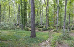 105 Old Forest Lane, Easley, SC 29640