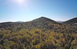 Pilot Mountain Rd, Moneta, VA 24121