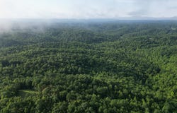 0 Kensee Hollow Rd, Williamsburg, KY 40769