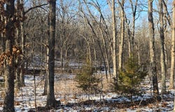 TBD S 68th Rd, Dunnegan, MO 65640