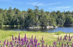 32 Murray Hill Road, Boothbay, ME 04544