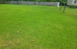 805 Pavie Avenue, New Bern, NC 28562