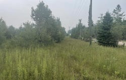 V/L Reams Road, Indian River, MI 49749
