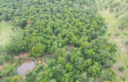 N 4450  RD, Locust Grove, OK 74452