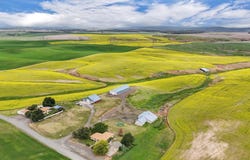 50169 Bergeron Rd E Rd, Reardan, WA 99029
