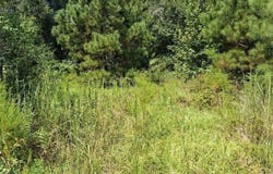 Highway 43, Mount Vernon, AL 36560