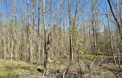 Swamp Road, Carthage, MS 39051