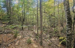 154 Lower Road lot: 35, Deblois, ME 04622