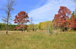 Grant Street, Park Rapids, MN 56470