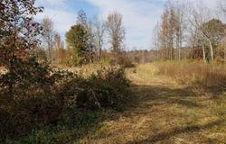 Kathwood Lane, Jackson, SC 29831