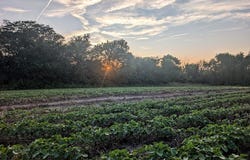 7970 Jesup Street, Indianola, IA 50125