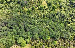 Tbd Rushing Road, Castlewood, VA 24224