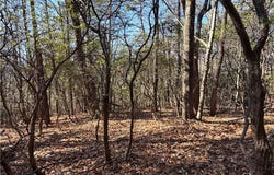 Bobcat Mountain Road lot: 27, Purlear, NC 28665