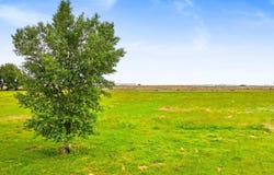 16 Coffey Ln., Pavillion, WY 82523