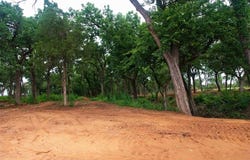 0003 Chako's Way, Guthrie, OK 73044