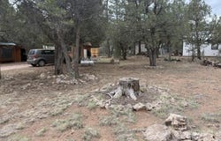 2181 Hashknife Drive, Overgaard, AZ 85933