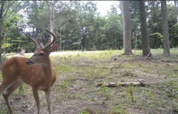 Fuller Harding Road lot: Parcel K, Campbellsville, KY 42718