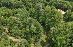 Tr 1 Atwood Point, Butler, TN 37640