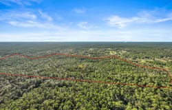 Reese Drive, Saucier, MS 39574