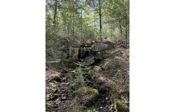 Route 9 lot: 13, Aurora, ME 04428