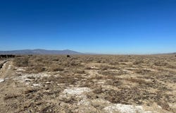 APN 010-320-13,14,15,16, 17,18, Battle Mountain, NV 89820