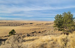 Wrr-4 Shepherd Acton Road, Billings, MT 59102
