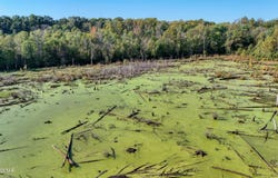 W Mitchell Rd # 1, Greenfield, TN 38230