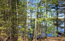 ON SHADY SHORE RD E, Tomahawk, WI 54487