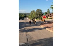 817 N BLUE SPRUCE Circle, Payson, AZ 85541