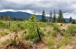 40111 SE Fairview St, Outside City Limits, OR 97360