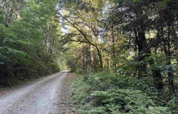 Fox Ridge Road, Crescent City, CA 95531