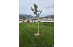 1375 S OAKDALE Dr, Santaquin, UT 84655