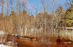 19.5 Acres 9 Mile Road, Kaleva, MI 49645